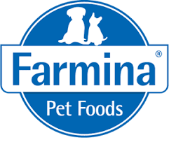 farmina filhotes de boiadeiro bernese coton de tulear jack russel terrier Canil Ballantine   Jack Russel | Coton de Tulear | Bernese